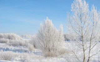 冬日的雪（白色的世界，纯粹的美感）