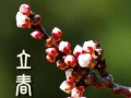 牵挂在心头（一个平凡女孩的故事）