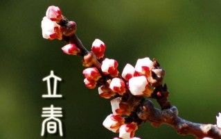 牵挂在心头（一个平凡女孩的故事）
