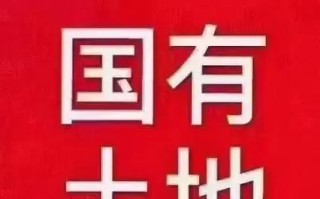 爱情的博弈（爱情的博弈）