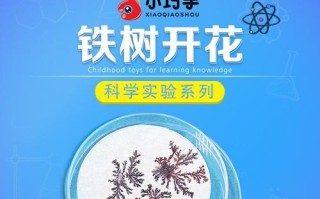 小发明改变生活（一个聪明少年的创意故事）