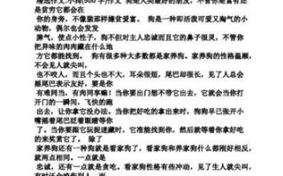 小狗的成长之路（从懵懂无知到坚毅勇敢，一只小狗的奋斗史）