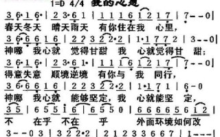 心愿实现的奇妙旅程（追寻梦想的路上，我不孤单）