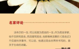 《生命赞歌》（听我唱出那些不曾说出口的情感）