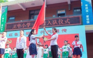 我与合格少先队员的故事（勇敢、坚强、责任感、爱心、进取心）