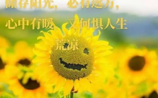 回味绝佳的小镇美食之旅