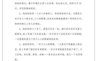 《闪耀的微笑》