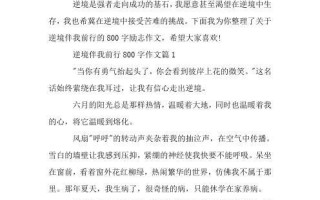 追梦路上，坚持不懈（一个人的奋斗之路）