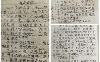 友情的温暖（友情的温暖）