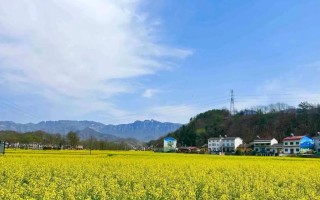 家乡那美丽的风景（探秘小镇角落里的传说）