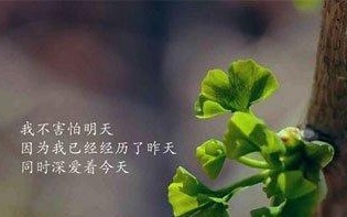 走过风雨，我才学会了坚强（走过风雨，我才学会了坚强）
