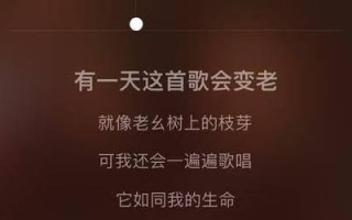 我爱的那片海