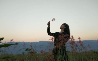 平淡，一种美（追寻不一样的幸福）