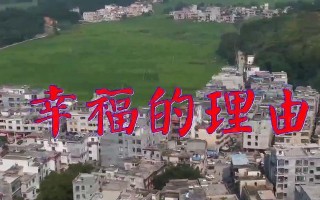 回忆长存（一个青年的成长故事）