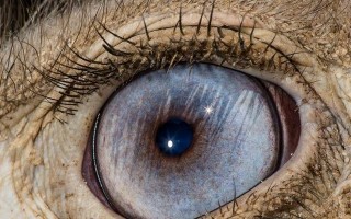 TheWorldintheEyesoftheSoul（AStoryaboutPerceptionandInnerVision）