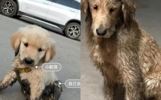 以皮要使劲捏(寻找勇气的故事) 以皮要使劲捏(寻找勇气的故事)