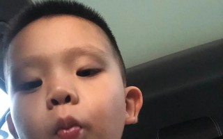 独具特色的《淘气小子的奇遇记》