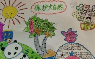 保护大自然，呼唤我们的担当（一名志愿者的环保故事）