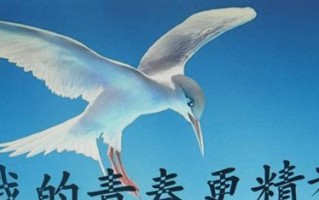 梦想之路
