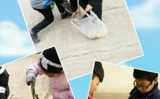 家园之爱（为了环境，每个人都是行动者）