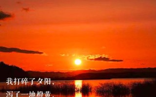 夕阳与我作伴：一个难忘的黄昏