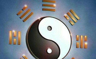 河东河西（一个小人物的成长之路）