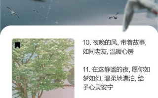 灯塔下的温暖（在海边度过一个难忘的夏天）