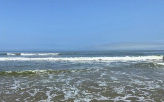 TheBeautyofaWave（TheTaleofaSurfer'sQuestforPerfection）