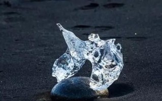 在雪花中的奇遇（在雪花中的奇遇）