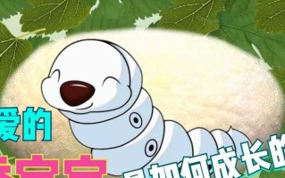 蚕宝宝的奇幻旅程
