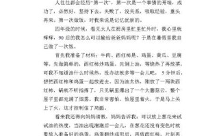 成功的尝试（一个青年演员的故事）