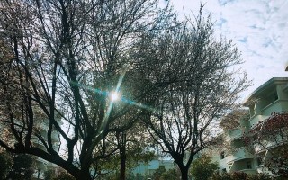 晨光初现，让我们一同迎接美好的校园生活（享受早晨的美好，开启一天的精彩）