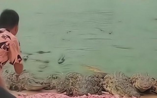 我也想(一个人的勇气和执着) 我也想(一个人的勇气和执着)