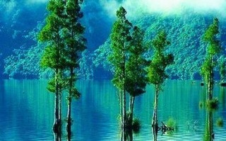 时间的河流（一个人的十年河东河西）