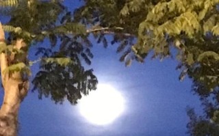 仰望着月亮，我们的故事（美丽与神秘的月光下，我们相遇相知）