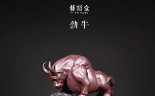 风华正茂，牛气冲天（一个年轻人的奋斗之路）