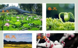 秋意盎然的故事（追随叶落的足音）