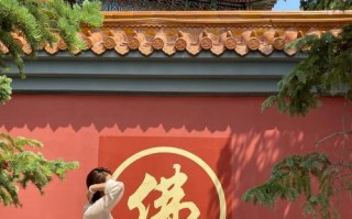 坚定执着，不放弃（在漆黑的夜里，一对眼睛的坚持）