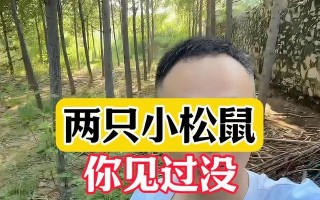 爱护野生动物的意义