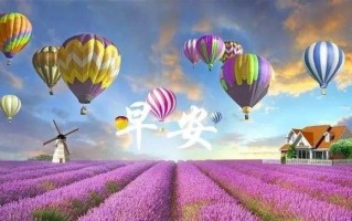 温暖的力量 温暖的力量