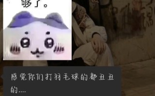 打羽毛球的快乐生活（魅力羽毛球场、锻炼身体、团结友爱）