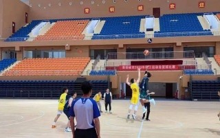 拔河比赛的奇妙旅程（紧张刺激的比赛场面，欢乐团队的友谊，以及胜利带来的喜悦）