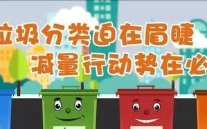 环保大使的使命（保护环境，我们在行动）
