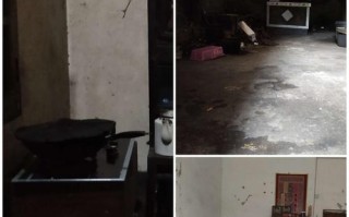友谊之光：两位勤劳的朋友