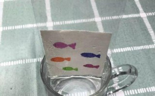 纸片托水实验的探索（小孩子的科学实验）