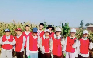 开心的上学之旅（和好朋友一起探索世界）