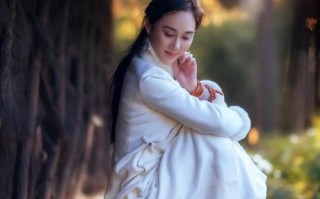 无欲无求：寻找内心的平静