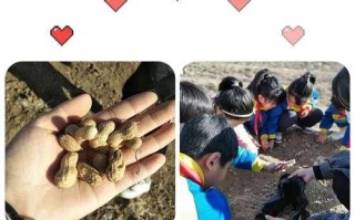 劳动果实的欢乐（以汗水换来的喜悦）