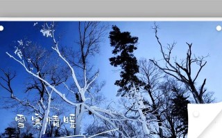 那个夏天，我在海边与父亲的回忆（回归美好的时光）