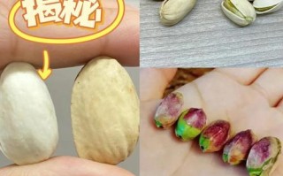 一个寻找开心果的小男孩的冒险之旅（一个寻找开心果的小男孩的冒险之旅）